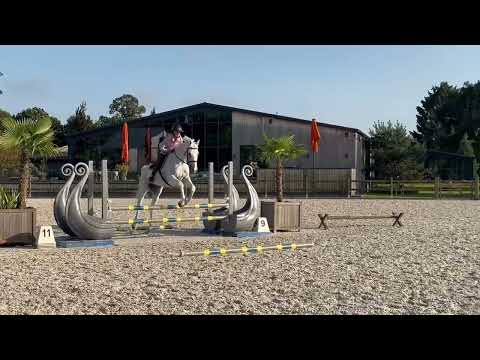 Tuesday Exercise - Simple gymnastics to work on horse flexibility