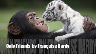 Only Friends [Ton Meilleur Ami] by Françoise Hardy (with lyrics)
