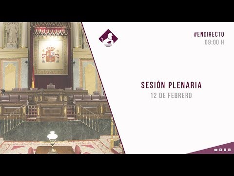 Sesión Plenaria (12/02/2020)