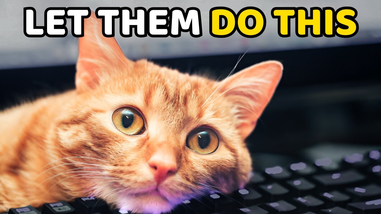 Stop Preventing This, It Actually Makes Your Cat Happy!