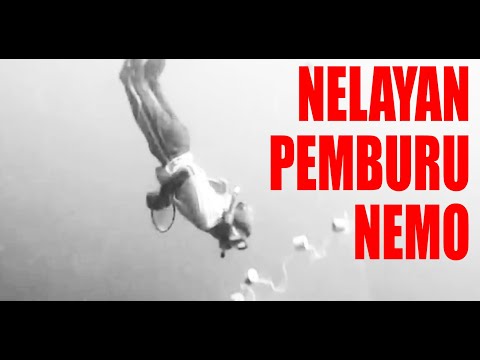 Efek pada potensi Kombucha Obat untuk pengobatan impotensi ulasan