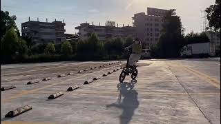 Chanson Electrical Bicycle/Bike