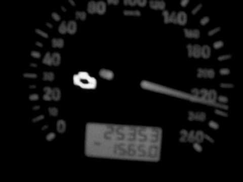 fr pit-bull in vasco da gama bridge