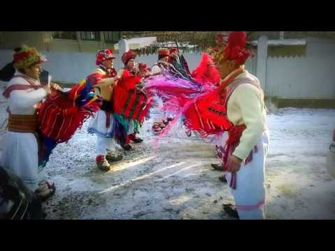 Căiuţii din Bârgăuani 2016