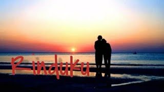 Iwan Fals - Rinduku ( lirik )