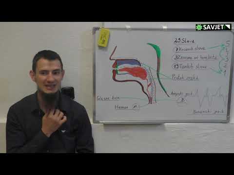 TEDŽVID, ishodište glasova: hemze i ha.