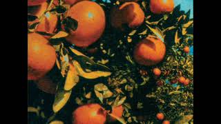 Shannon Wright • Dyed In The Wool ℗ 2001