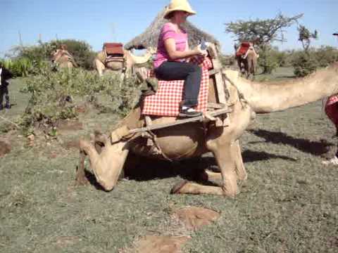 14-03-23 Camel ride 02