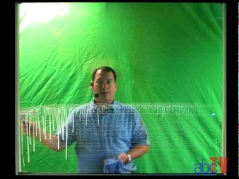 Abc Window Washing