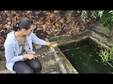 Fishing in my backyard pond after 1 year