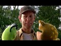 Kermit S Swamp Years Goggles Gets Captured