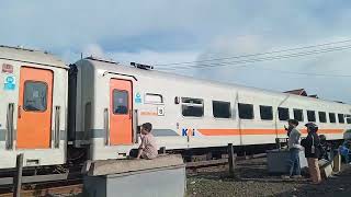 kmpnya sih langka tapi cc203 💀