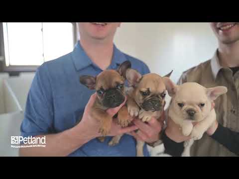 Kennel Tour 188