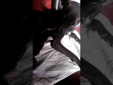 My swt frnzz..... .... Bhuvana R B