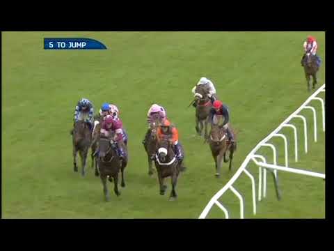2013 Betfred Cheltenham Gold Cup Chase - Cheltenham Gold Cup