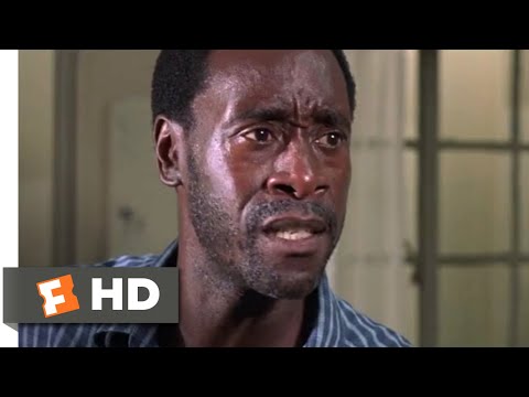 Hotel Rwanda (2004) - A Marked Man Scene (12/13) | Movieclips