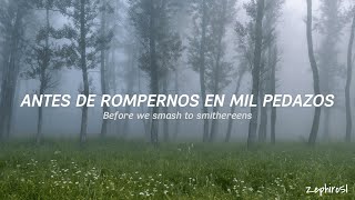 The Last Shadow Puppets - My Mistakes Were Made For You (Sub Español - Lyric Video)