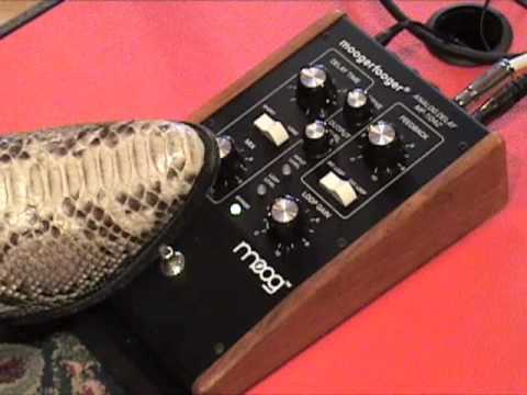 MOOG Moogerfooger Analog Delay MF-104Z guitar effects pedal demo