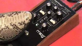 Video thumbnail for MOOG Moogerfooger Analog Delay MF-104Z guitar effects pedal demo by gearmanndude
