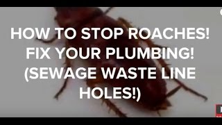 How To Stop Roaches!