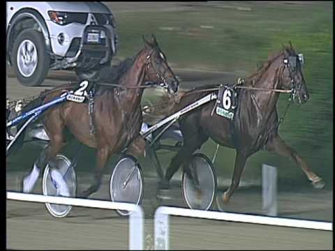 Trotto 02/07/2016 - 6° corsa