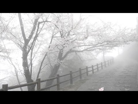 Vyzer - WHERE YOUR MANS (+ Pröz) [] Slowed Down