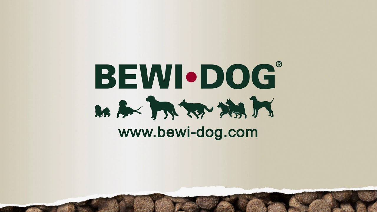 RS3349 Fachhändlerinfo BEWIDOG GB 1