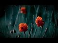 Hilmar Örn Hilmarsson & Sigur Rós ~ Colours