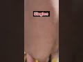 Committed Vs Singles Parithabangal Shorts Parithabangal Trending