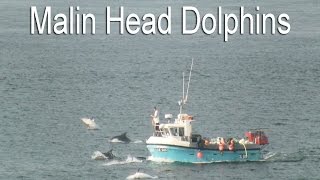 preview picture of video 'Malin Head Dolphins'