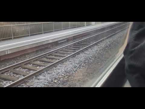 29. Januar 2023 RE 40 von Amberg bis Hersbruck rechts der Pegnitz