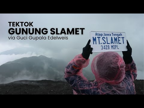 TEKTOK MOUNT SLAMET 3,428 MASL VIA GUCI GUPALA EDELWEIS