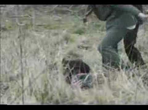 Z.F. Skurcz - Tęcza