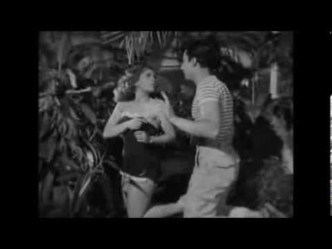 Thumbnail for video: Mexican Bus Ride Thumbnail for video: Mexican Bus Ride