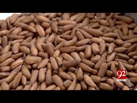 download lagu mp3 mp4 Pine Nuts Price Per Kg In Pakistan, download lagu Pine Nuts Price Per Kg In Pakistan gratis, unduh video klip Pine Nuts Price Per Kg In Pakistan