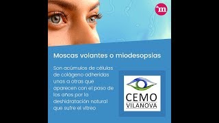 ¿Qué son las Miodesopsias o Moscas Volantes?