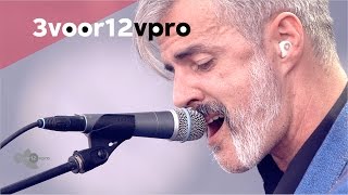 Triggerfinger - By Absence Of The Sun (live op Pinkpop Festival 2015)