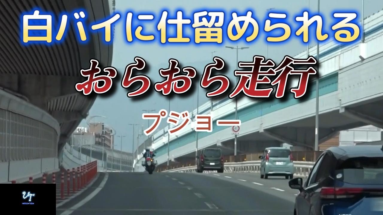 【スッキリ】おらおら走行「プジョー」白バイに仕留められる！