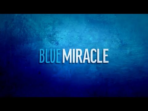 Blue Miracle "Trailer"