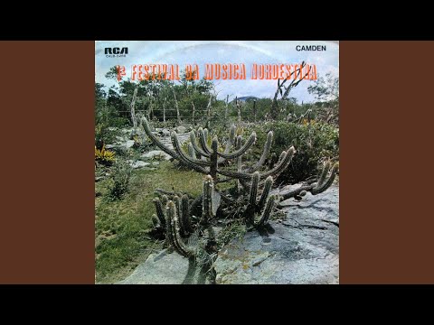 Não te levo para o forró