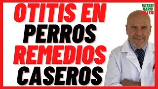 🟢  Otitis en Perros Como Curar con Remedios Caseros  🟢 ¿Mi perro tiene Otitis qué le puedo dar