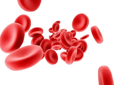 download lagu mp3 mp4 Blood Flow Optimizer, download lagu Blood Flow Optimizer gratis, unduh video klip Blood Flow Optimizer