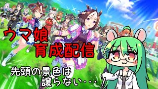 【ウマ娘】参加型ルームマッチと雑談【VTuber】