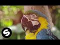 Unfazed A Gira Official Music Video