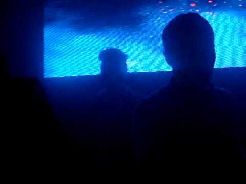 Max Lenski @ Egg. London