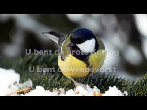 Opwekking 166 U bent de grote Koning