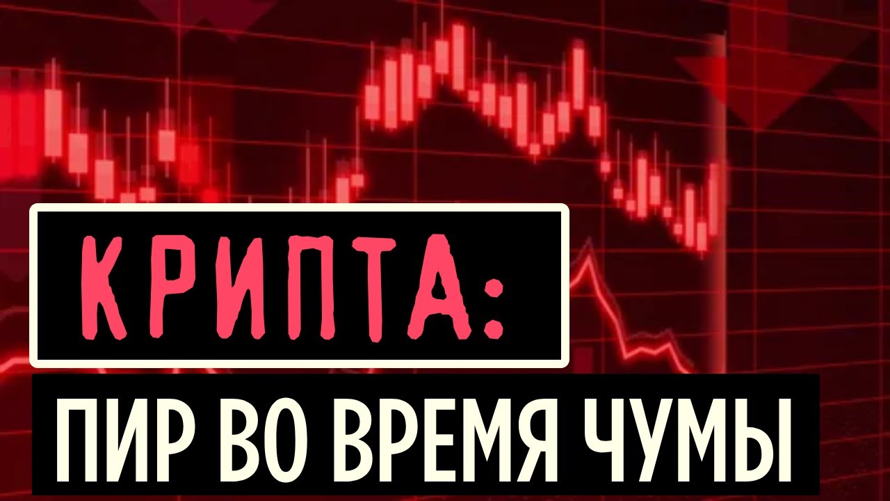 Отчет за июнь 2024