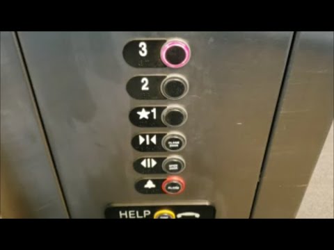 ThyssenKrupp Aurora Hydraulic Elevator - USF Business Partnership Building - Tampa, FL