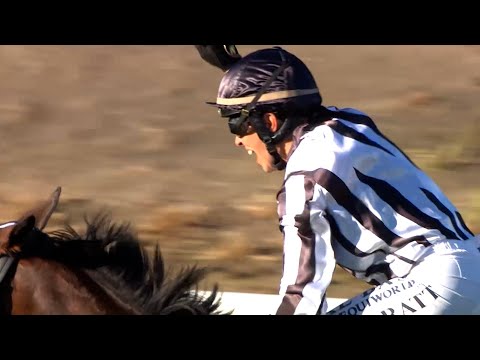 Belclare claims the Gr.1 NZ Thoroughbred Breeders' Stakes