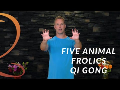 Five Animal Frolics Qi Gong (Tiger Routine) | Qi Gong with Lee Holden